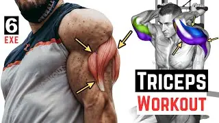 The Only Triceps Workout You Need for Big Arm: Best Exercise