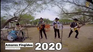 Los Viejones De Linares - Amores Fingidos