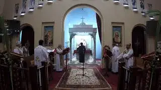 Palm Sunday 2020 (1 of 2)