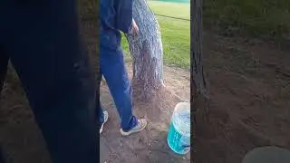 14 de enero de 2026
