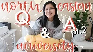 🐾 northeastern university Q&A pt. 2 | dorm life, dining hall food, time management and more! 🐾