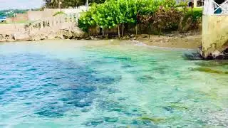 Sea Palms Cove