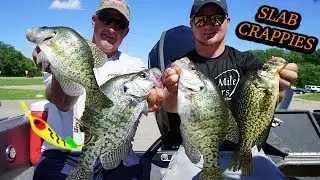 Pitching Plastics for Crappies (Fishing Tips)