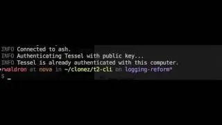 t2-cli: spinner implementation demo 3