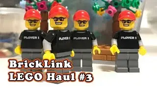 LEGO Parts Haul from BrickLink.com - Sig Figs, Hogwarts Express MOD