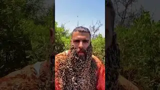 Top State Of Honey Producing In India || #shorts #youtubeshorts