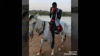 Mbolosh Gang: Kota xoro Ndangui