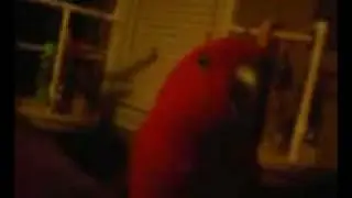 Hello.mov