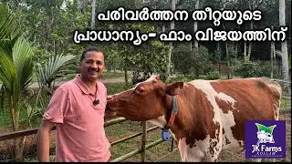 Transition Feed | JK Farms | Kollam | dairy farm | farm training | Jayakrishnan | JK | success | cow