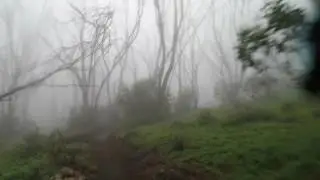 Mt Buller Misty Twist