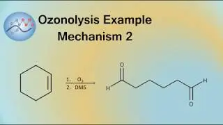 Ozonolysis Example Mechanism 2 | Organic Chemistry