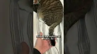 Ждать!