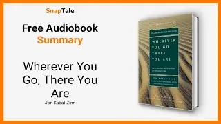 Wherever You Go, There You Are by Jon Kabat-Zinn: 11 Minute Summary