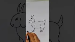how to draw a goat/ Eid mubarak/ Bakri eid special Drawing/ Eid special Drawing