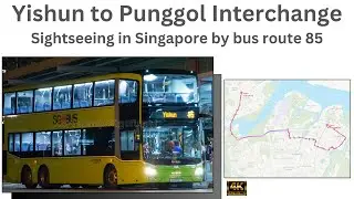 Bus route 85 - a perfect sightseeing trip in  Singapore