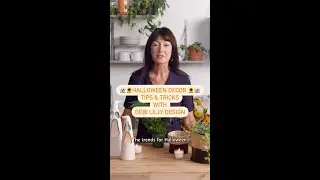 Halloween D&eacute;cor with Debi Lilly