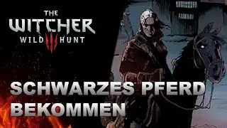 WITCHER 3 Schwarzes Pferd bekommen Guide