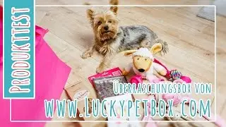 Produkttest || LuckyPetbox || UNBOXING