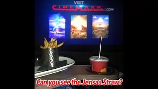 Reusable Straws -Portable Collapsible Adjustable Stainless Steel-Case/Keychain/Brush- By Jensaa
