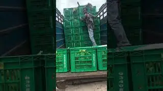 The Shocking Truth Behind Market Fruits