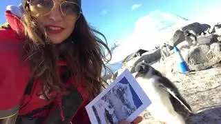 Антарктида 2019😍