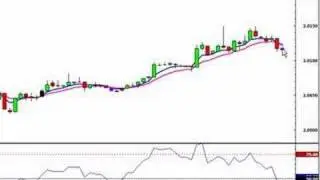 Forex Trading- Cowabunga System
