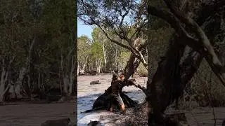 Silent Strike: Охота из лука на дикого кабана. #hunting #wildboar #boarhunt#youtubeshorts