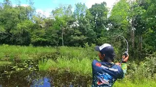 Spot idaman..! Joran sutet dibuat melengkung terus..! Gak ada habisnya ikan gabus disini..!