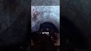 People Created a Reservoir from Baobab Trees