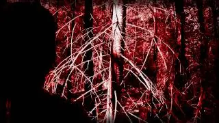 Karcius - The Space Between (Final Cut) 1080p