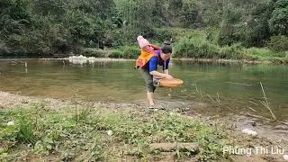 A single mother went to a stream and unexpectedly found a nest of duck eggs.