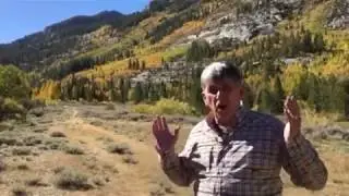 Surveyor's Meadow, Bishop Creek Canyon
