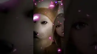 Vidmic