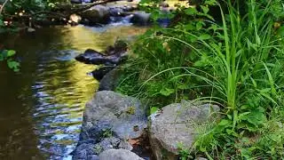 Relaxing River sounds, gentle river soothing water sounds