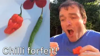 CHILLI FORFEIT FROM LAST VIDEO *so hot!*