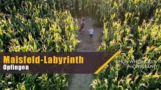 Getting Lost in the Maisfeld-Labyrinth | Maize Field Lybarinth | Opfingen