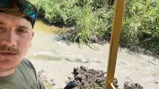 Food Plots and Beaver Dams!