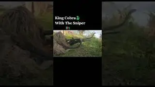 Army vs snake 🔥 #army #subscribe #viralvideo #shorts #shortvideo #youtubeshorts #youtube
