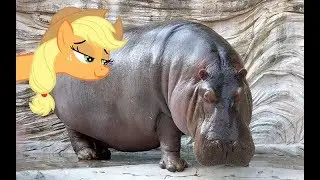 Applejack's New Security System [Comedy MLP Fanfiction Reading]