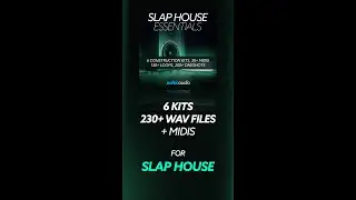 Get this Slap House Sample Pack for your next hit #shorts #balticaudio #slaphouse #samples #download