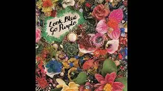 Look Blue Go Purple &ndash; Compilation (1991) (Dunedin Sound)