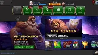 Contest of Champion : Featured Champions Unlocked
