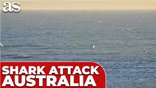 SHARK knocks off Western AUSTRALIA windsurfer: FULL MOMENT