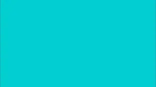 Turquoise Color Full Screen - HEX RGB #00CED1 - 30 min