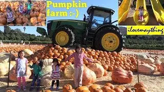 GIANT Pumpkins in a Pumpkin Farm! Kids' Playground, Kiddie Slides and Pumpkin Patch 2018