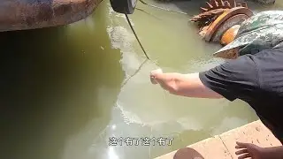 老四发现铁船动静不小，用完手钓再放钩，连续几天猛货越抓越多