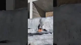 ICE-BATH Challenge 02/21 Zanskar Zangla by Nono Spaow #icebathchallenge#viralvideos#zanskar#2026