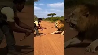 Lion Attack in the Wild &ndash; Man Stands His Ground! 🦁💪