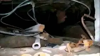 Sam's Bar & Grill.mp4