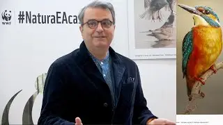 Nu secați apa la Carasuhat, Delta Dunării, pentru terenuri agricole, l&acirc;ngă Mahmudia